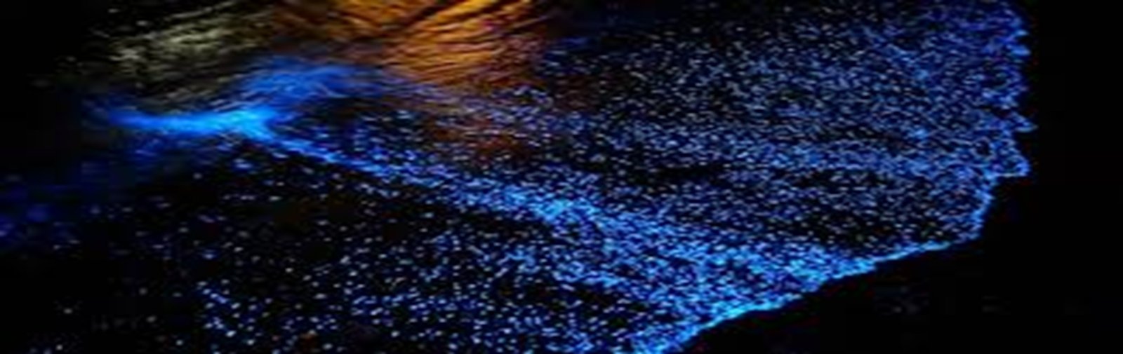 Bioluminescence Kayaking
