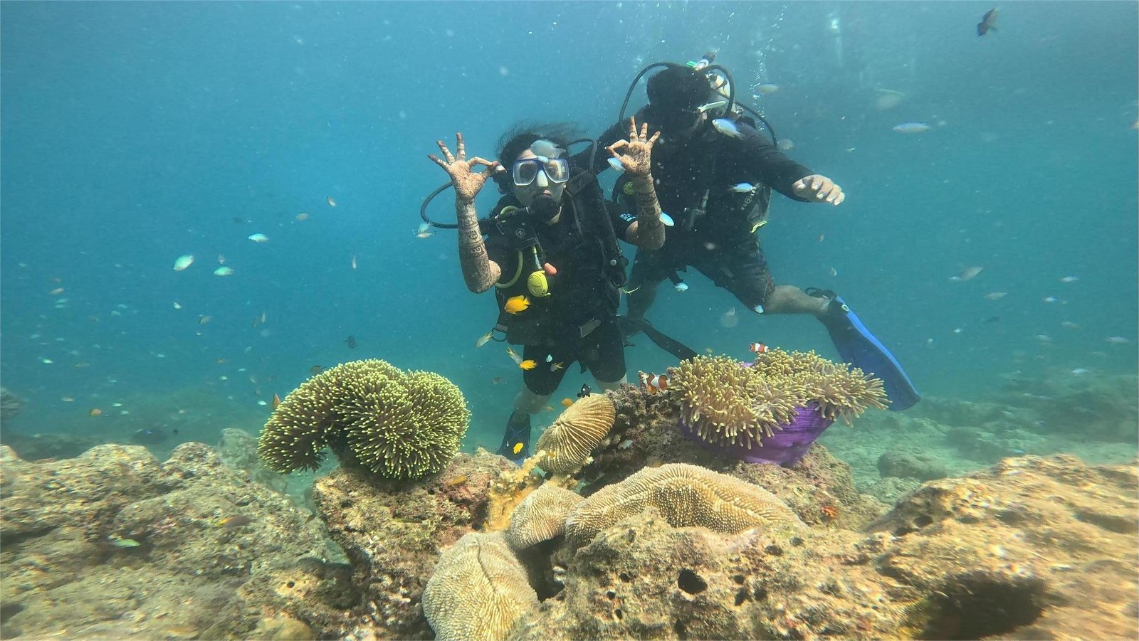 Boat Dive at Red Pillar