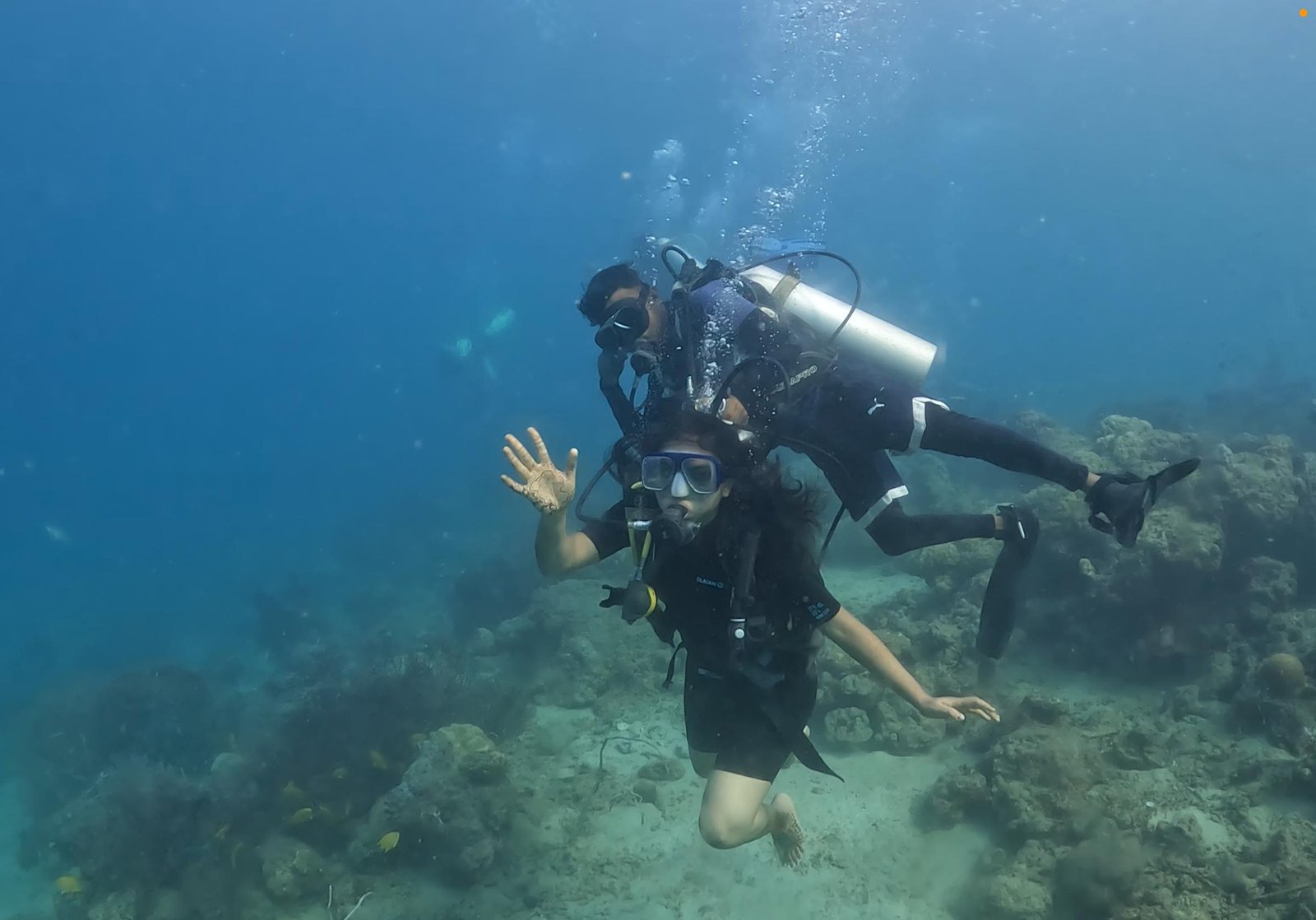 Boat Dive at Red Pillar