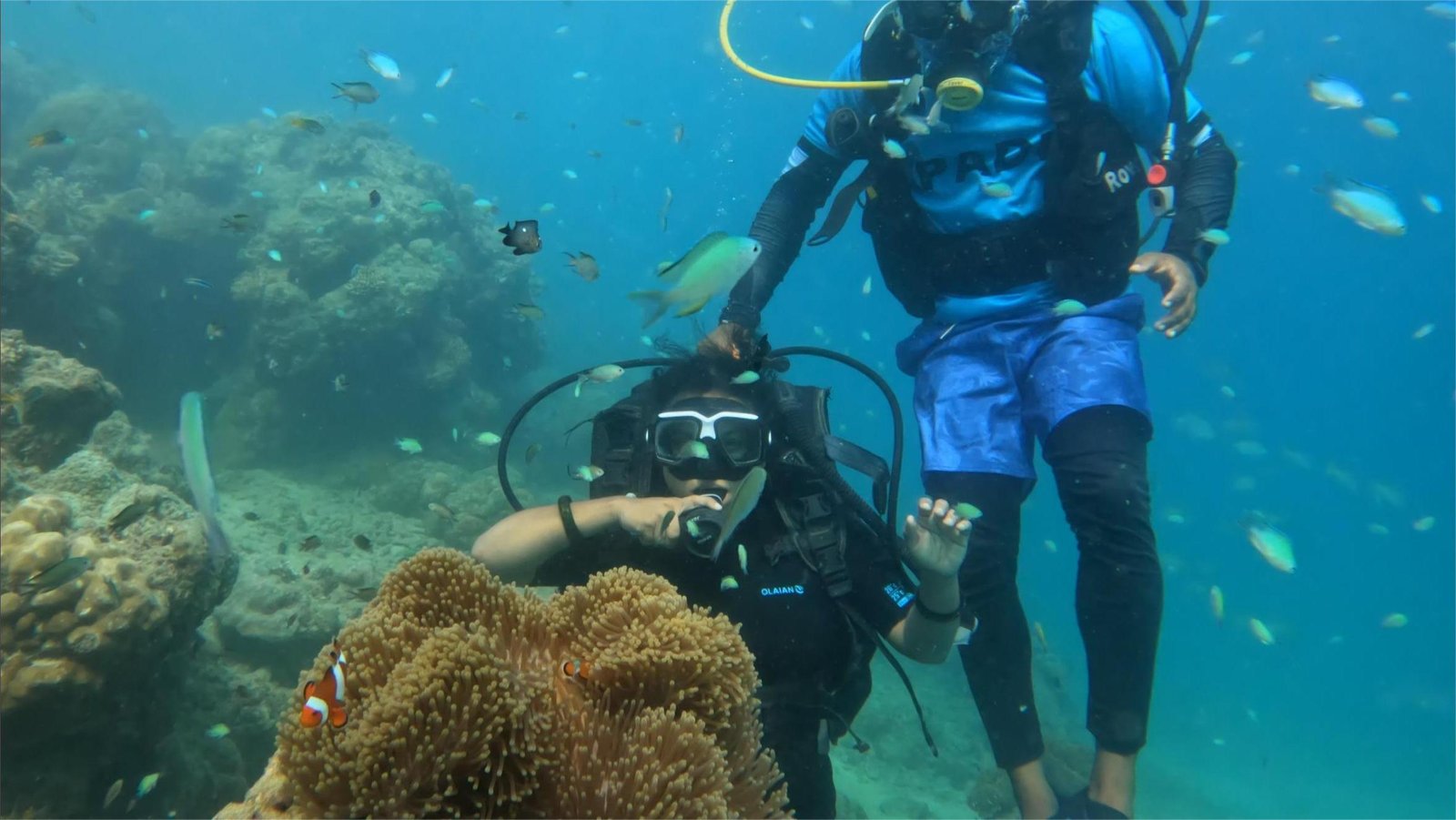 Shore Dive at Nemo Reef