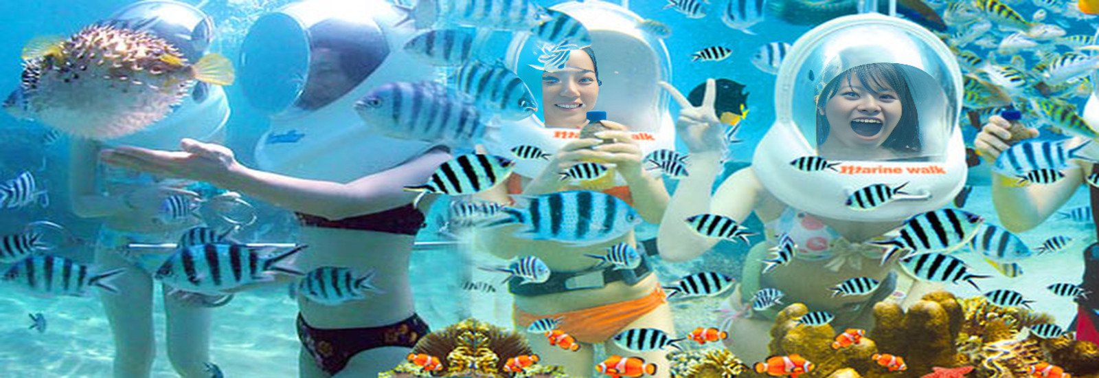Sea Walking at Elephant Beach