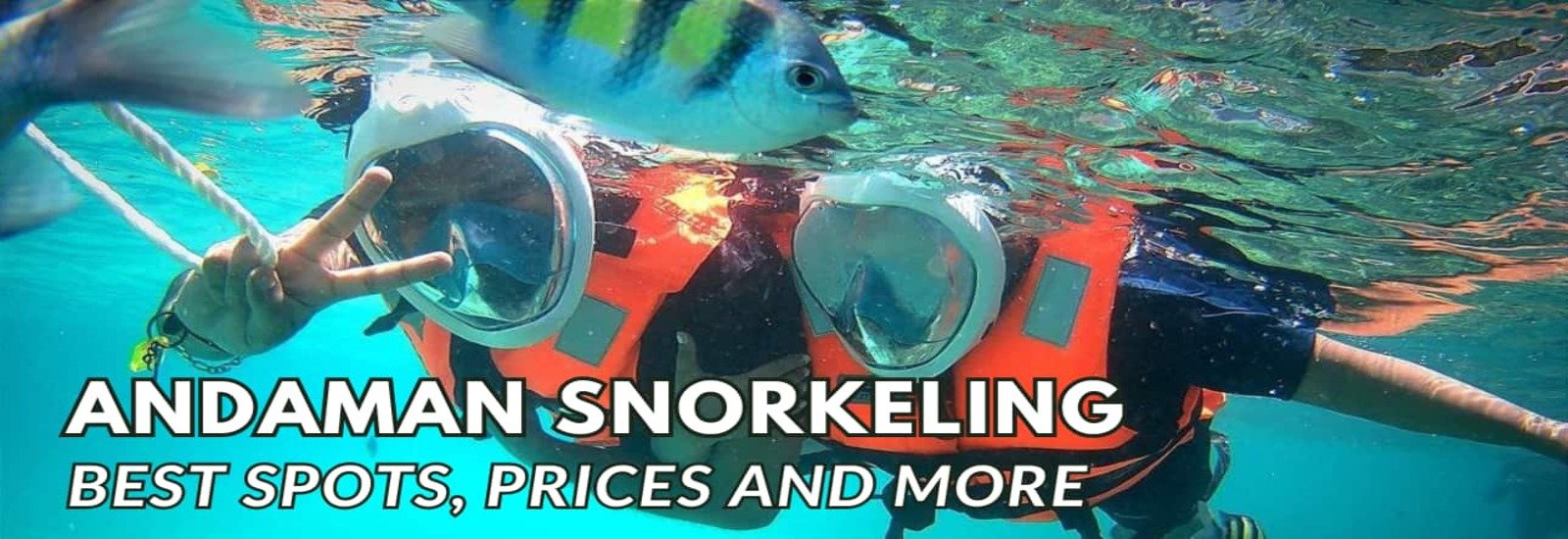 Snorkeling at Nemo Reef