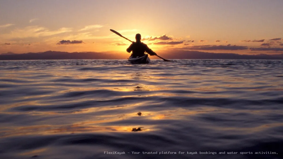 Sunrise Kayaking